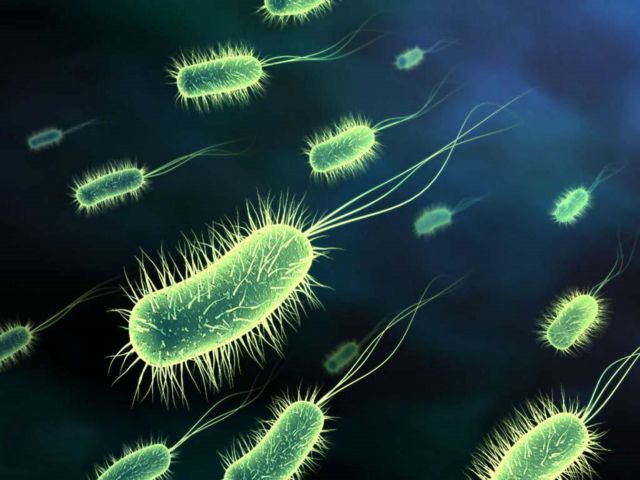 Πανίσχυρα μικρόβια θέτουν σε αχρηστεία τα αντιβιοτικά