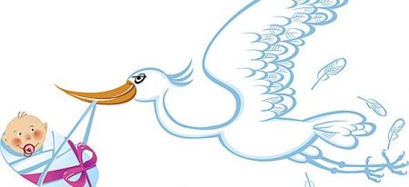 Eνα παράσιτο σε ρόλο… πελαργού