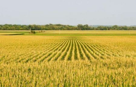Εξαφανίζεται η καλλιεργήσιμη γη