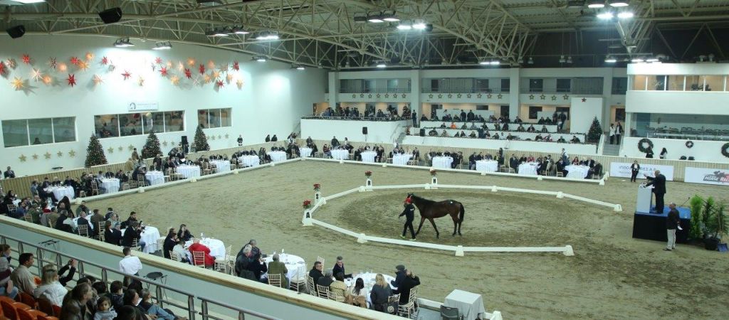 Μεγάλο ενδιαφέρον για τη δημοπρασία καθαρόαιμων στο Μαρκόπουλο