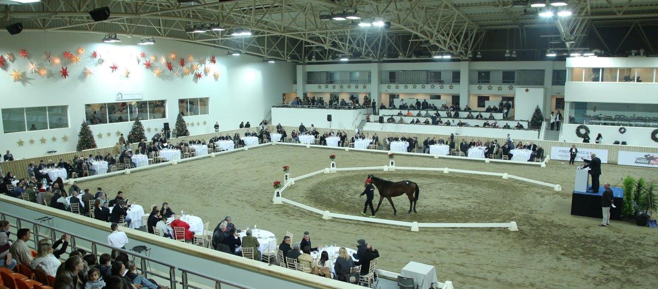 Μεγάλο ενδιαφέρον για τη δημοπρασία καθαρόαιμων στο Μαρκόπουλο