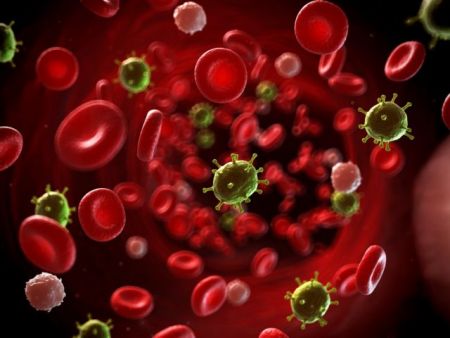 Ο Πρώτος Περιοδικός Πίνακας Πρωτεΐνών