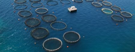 Αναδιάρθρωση δανείων 23,5 εκατ. και στη Seafarm Ionian