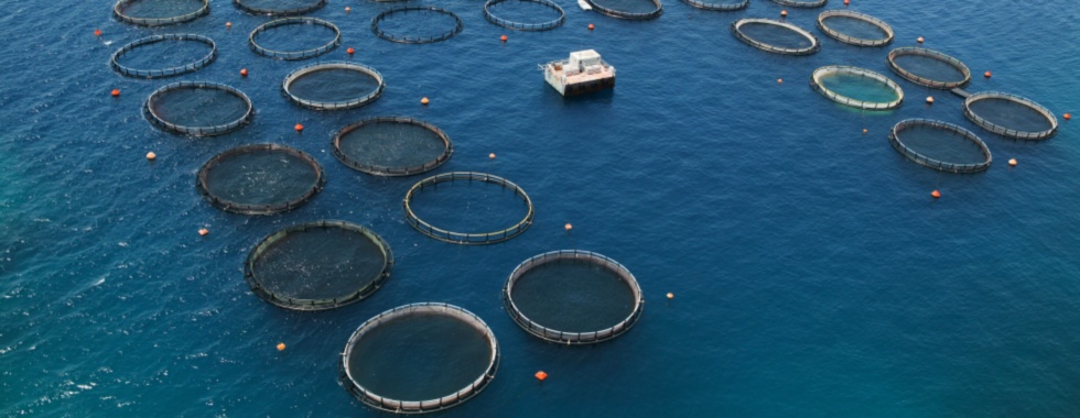 Αναδιάρθρωση δανείων 23,5 εκατ. και στη Seafarm Ionian