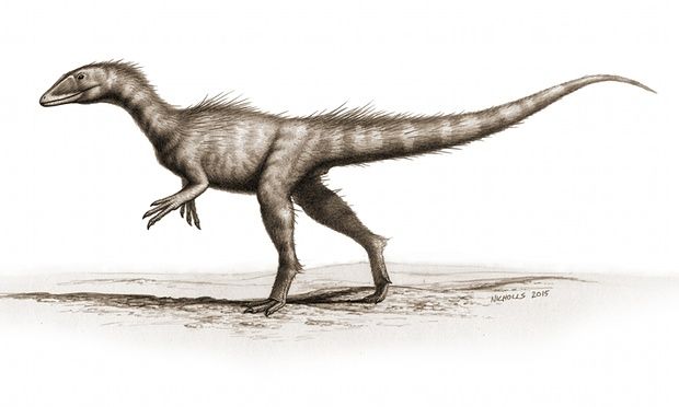 Αγνωστος δεινόσαυρος πρώτης γενιάς