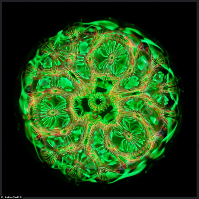 Φωτογραφικά πορτρέτα των ήχων!