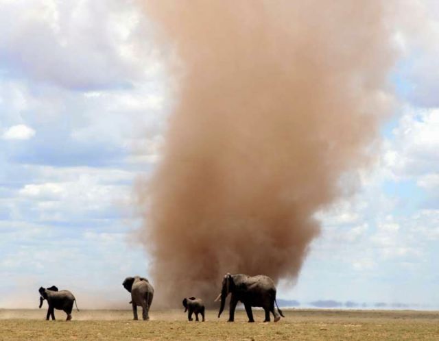 Λιγότερη αφρικανική σκόνη τα επόμενα χρόνια
