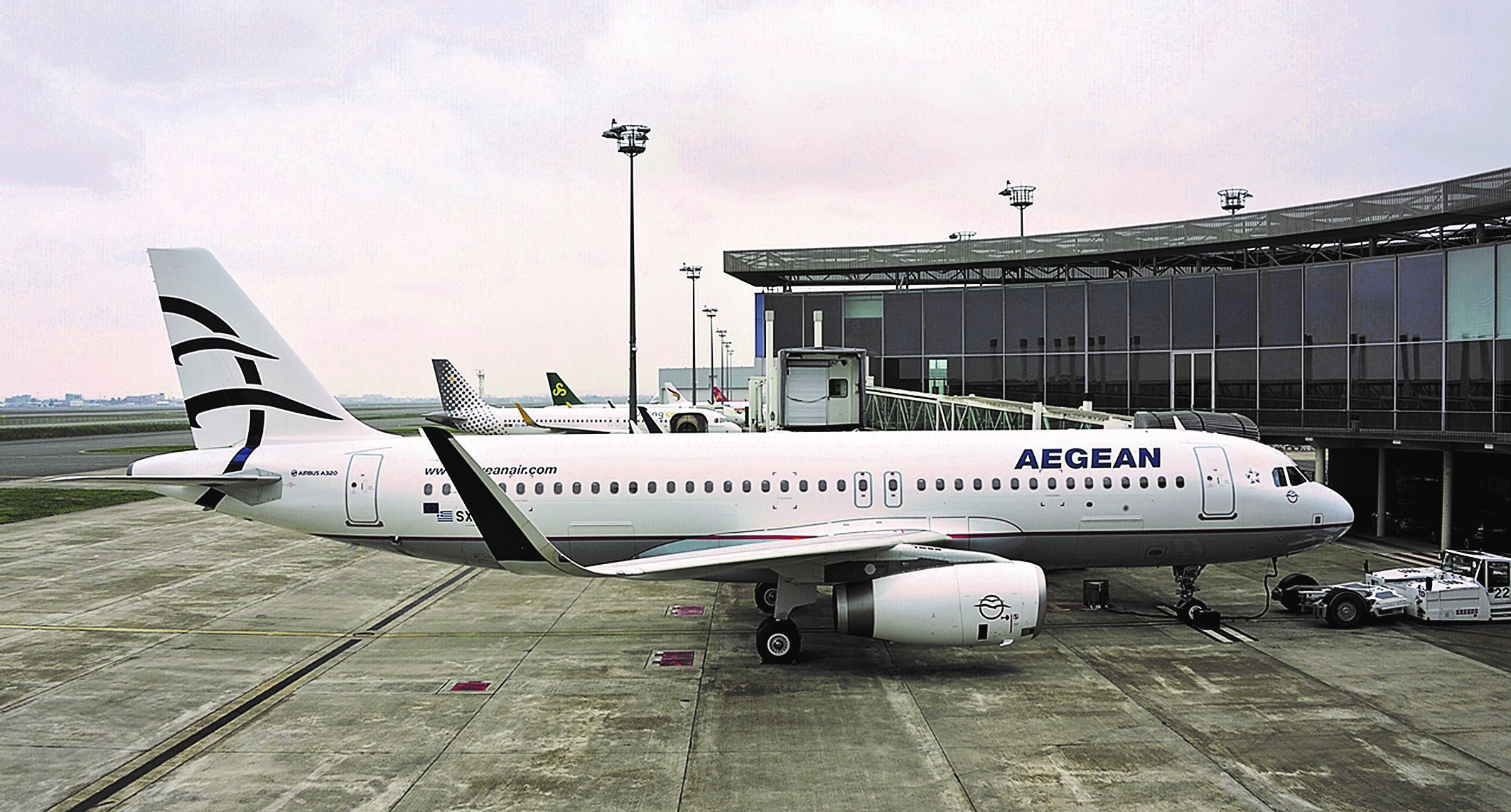 Τα 61 αεροπλάνα της Aegean