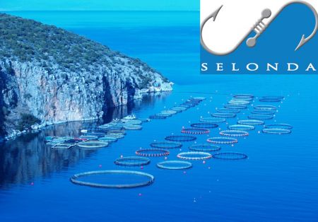 Αύξηση πωλήσεων και μείωση κερδών η ΣΕΛΟΝΤΑ το 2015