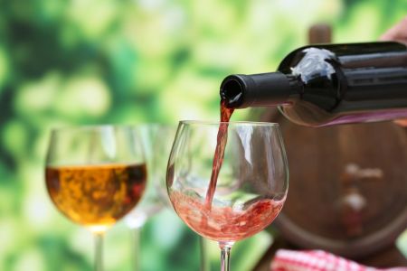 Εκδρομή για μικρούς και μεγάλους