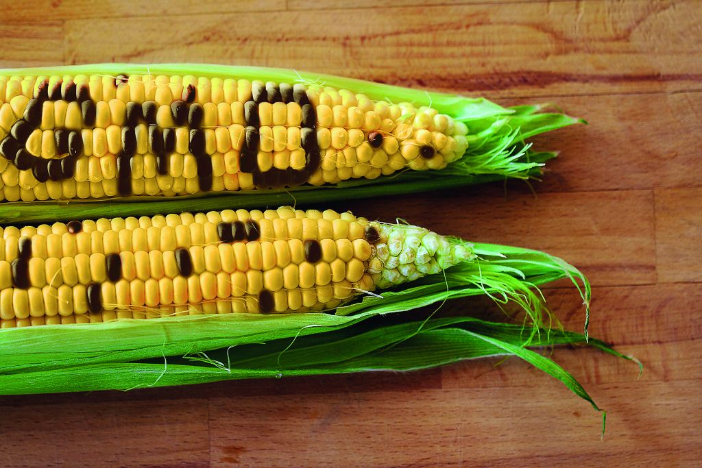 Τα «μεταλλαγμένα»