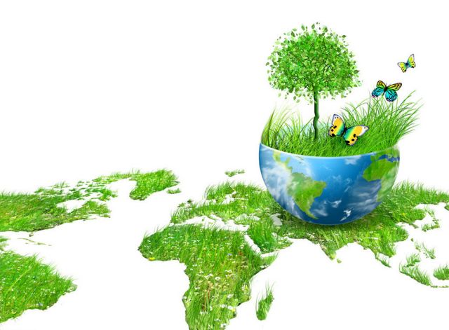 Το διοξείδιο του άνθρακα πρασινίζει τη Γη! | tovima.gr