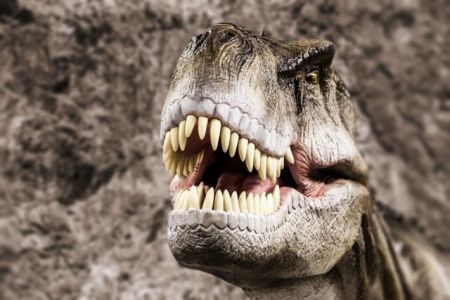 Ο T.rex είχε χείλη που προστάτευαν τα δόντια του