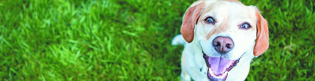 Προς το αύριο