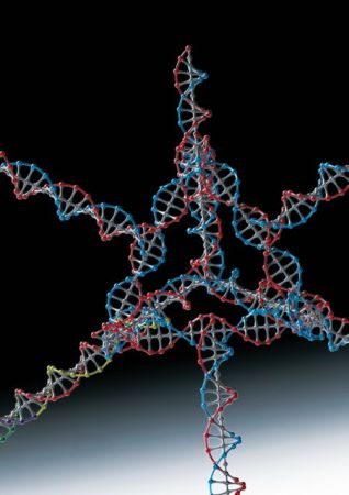 Νέο εργαλείο τροποποίησης του RNA