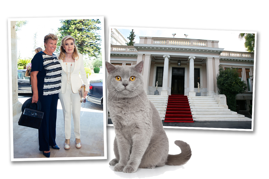 Σίβυλλα alert! Και όμως! Το Μαξίμου διαθέτει γάτο αλά… Downing Street