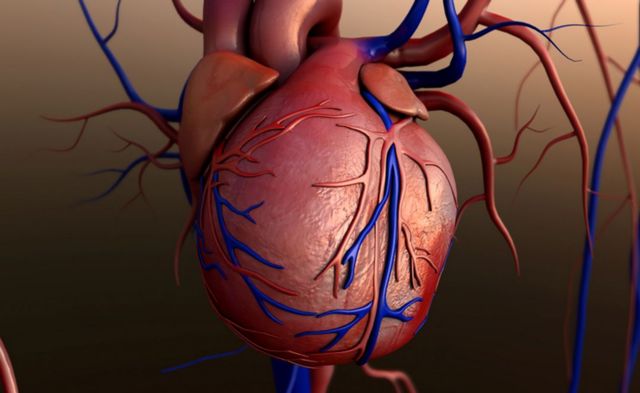 Ελληνες φυσικοί δίνουν χέρι βοηθείας στους καρδιολόγους