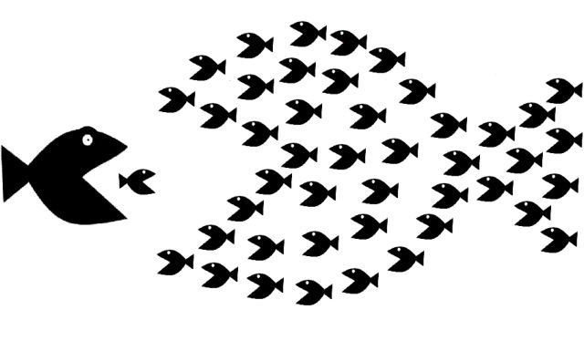 Το μικρό ψάρι τελικά τρώει το μεγάλο