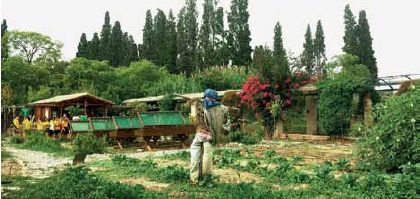 Ελληνική διάκριση στη Χαβάη