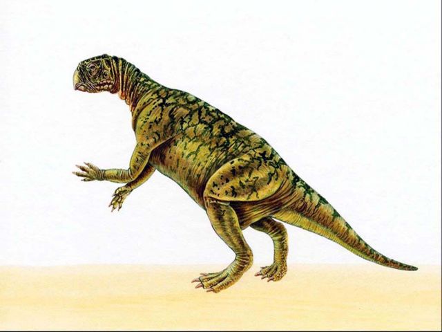 Ο δεινόσαυρος με το καμουφλάζ