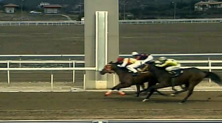 Μεγάλη απώλεια για τις ελληνικές ιπποδρομίες