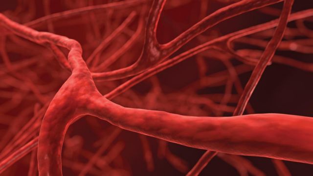 Τα πιο «φυσικά» τεχνητά αιμοφόρα αγγεία