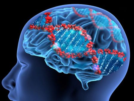 Το γονίδιο που καταστρέφει την Αλτσχάιμερ