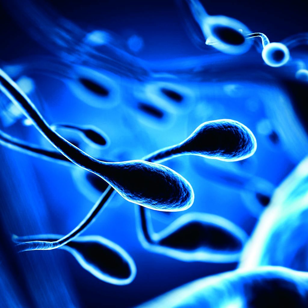 Αζωοσπερμία: Αντιμετωπίζεται;