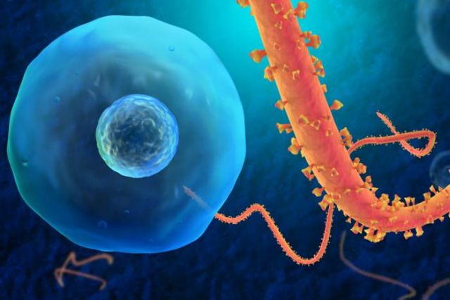 Ο Εμπολα έγινε 3 φορές πιο φονικός!