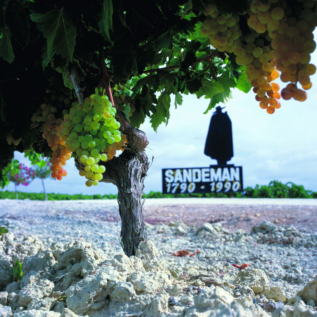 Sherry: ένα όνομα, μια ιστορία