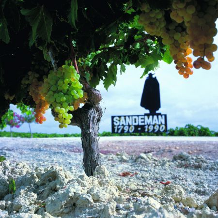 Sherry: ένα όνομα, μια ιστορία