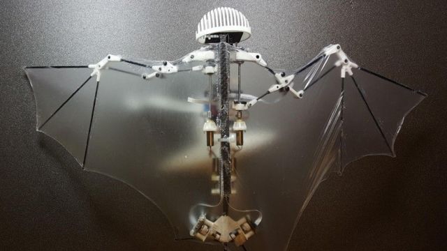 Η πρώτη ρομπο-νυχτερίδα