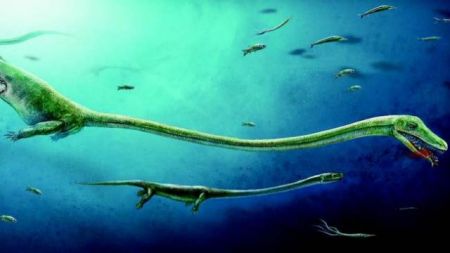 Βρέθηκε έμβρυο σε θαλάσσιο συγγενή των δεινοσαύρων