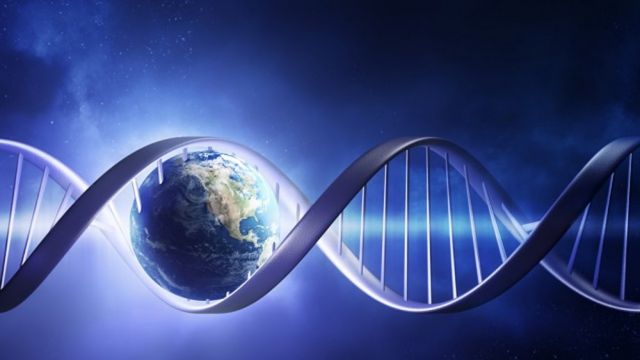 Θέλουν να διαβάσουν το DNA όλης της ζωής στη Γη! | tovima.gr