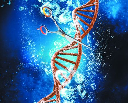 «Κόψτε, επιδιορθώστε, τελειώσατε»!