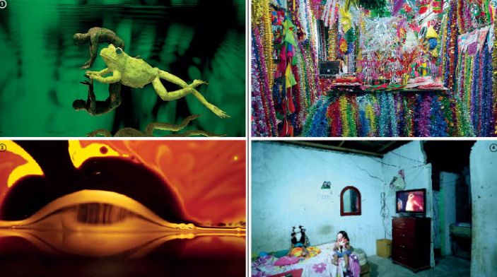 «Πράσινη» πρωτοπορία