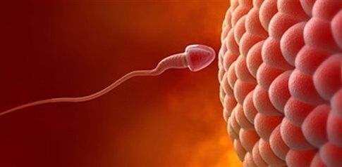 Γενετική μετάλλαξη σχετίζεται με περιπτώσεις ανεξήγητης υπογονιμότητας