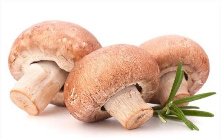 Νέα προϊόντα με βάση τα μανιτάρια