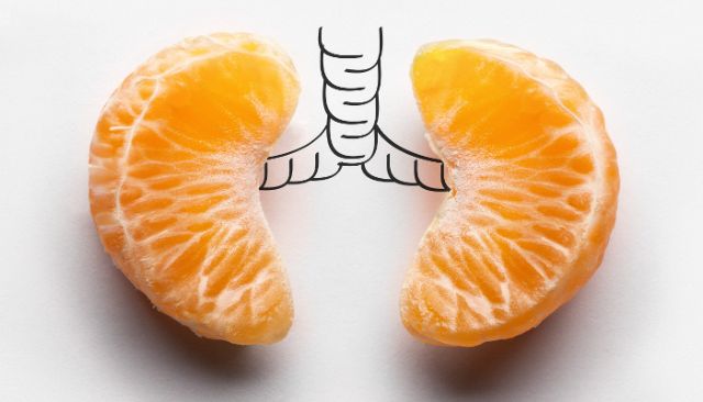 Καινοτόμος θεραπεία σταματά την εξέλιξη της κυστικής ίνωσης