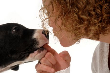 Η ανθρώπινη μύτη εξίσου καλή με του σκύλου