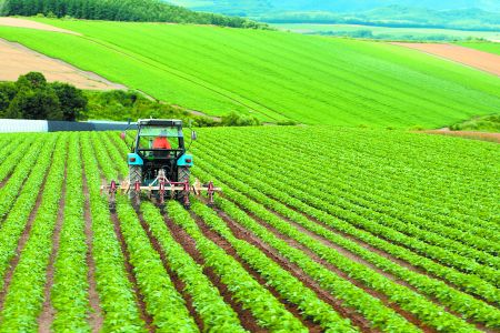 Τι θα γίνει με τα «κόκκινα» δάνεια και την περιουσία των αγροτών