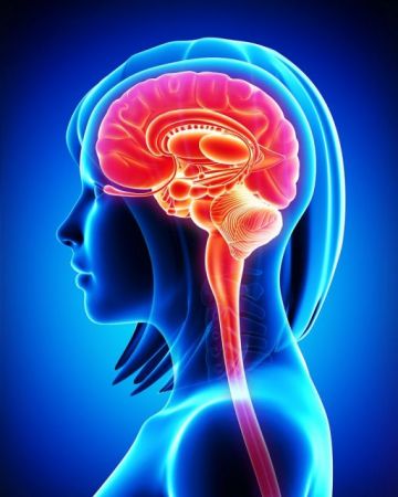 Πρωτεΐνη αυξάνει τον κίνδυνο εγκεφαλικού στις γυναίκες