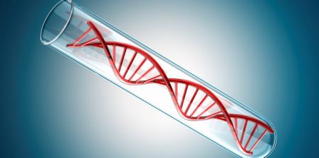 Γενετικό τεστ προβλέπει τον κίνδυνο καρκίνου των όρχεων
