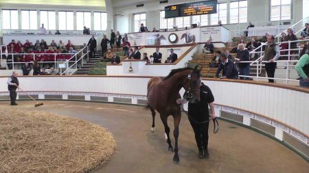 H ώρα της δημοπρασίας καθαρόαιμων ίππων του Tattersalls 