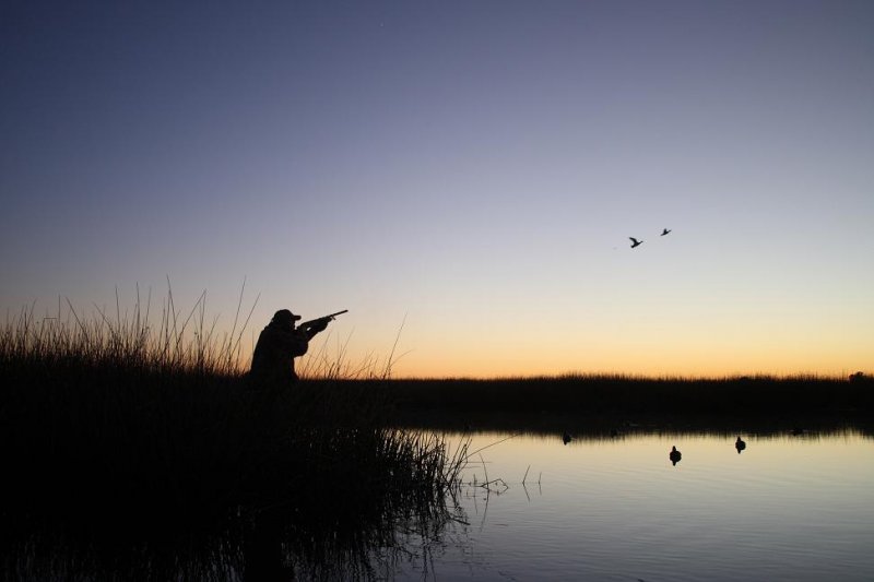 Στις 20 Αυγούστου ξεκινά η νέα κυνηγετική περίοδος