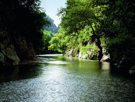Ο ποταμός των ζωντανών