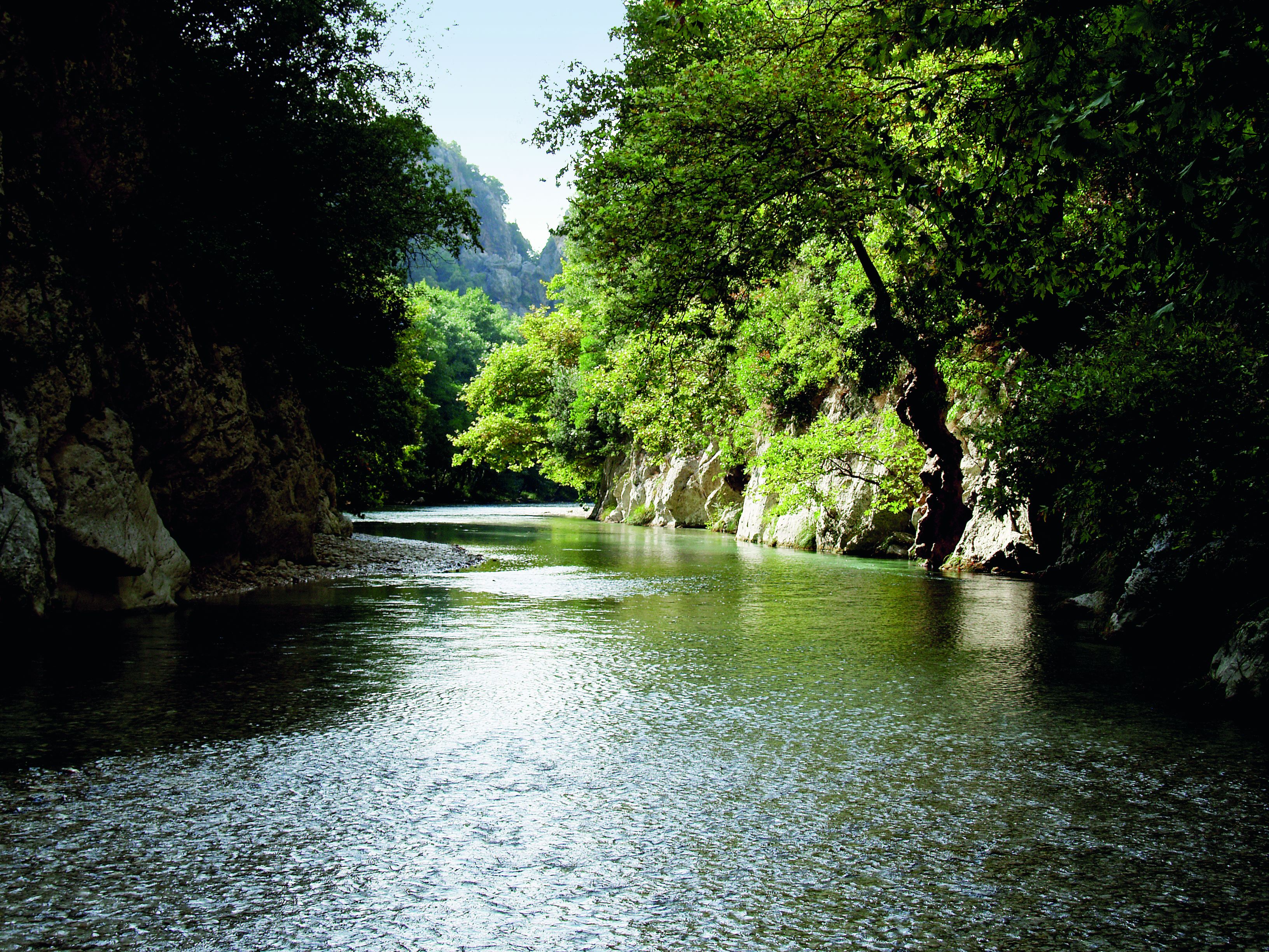 Ο ποταμός των ζωντανών
