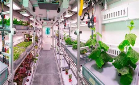 Λαχανικά στο Διάστημα από ευρωπαίους επιστήμονες