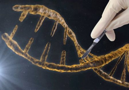 Νέο εργαλείο επεξεργασίας του DNA
