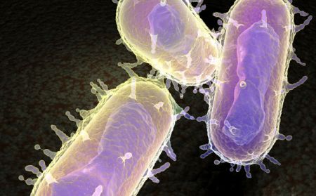 The theological, anti-reform aspect of SYRIZA